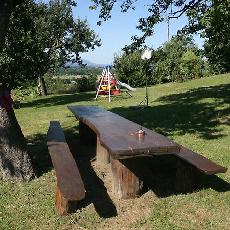 Panorama B&B Ptuj Dış mekan fotoğraf