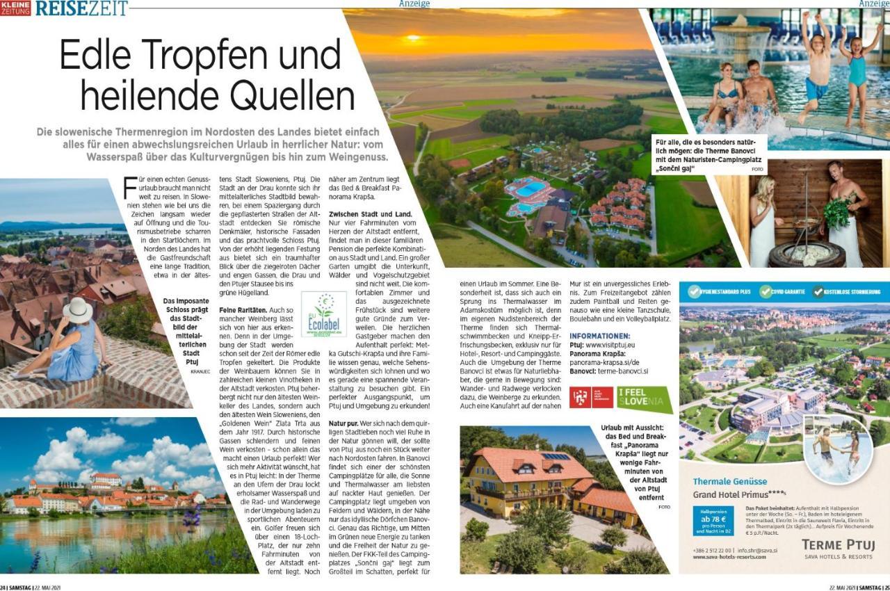 Panorama B&B Ptuj Dış mekan fotoğraf