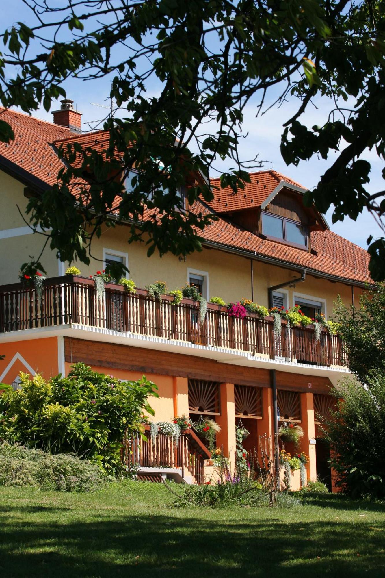 Panorama B&B Ptuj Dış mekan fotoğraf
