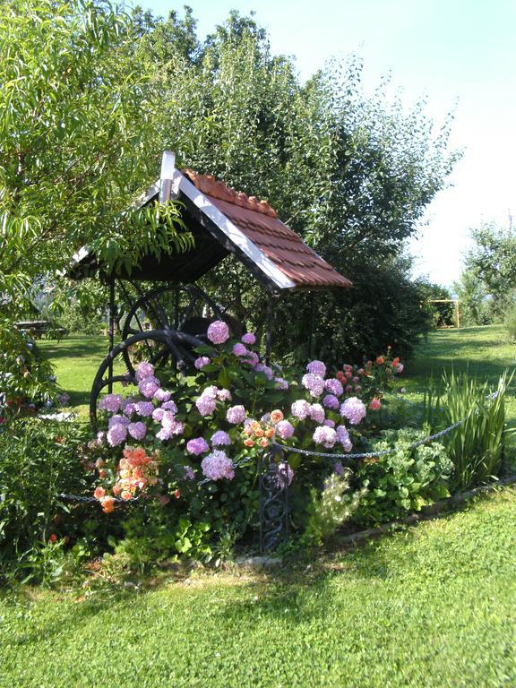 Panorama B&B Ptuj Dış mekan fotoğraf