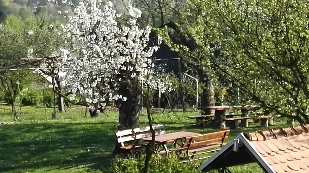 Panorama B&B Ptuj Dış mekan fotoğraf
