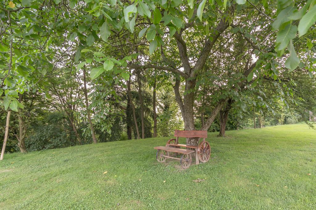 Panorama B&B Ptuj Dış mekan fotoğraf