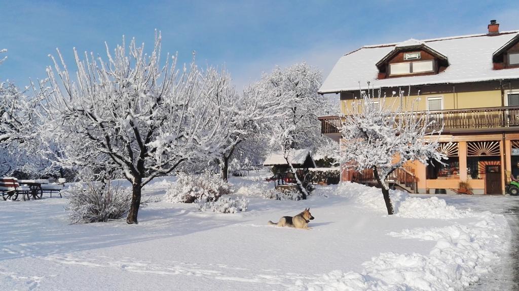 Panorama B&B Ptuj Dış mekan fotoğraf