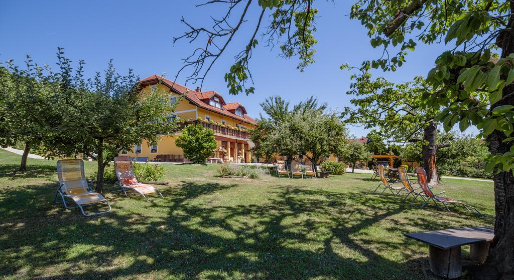 Panorama B&B Ptuj Dış mekan fotoğraf