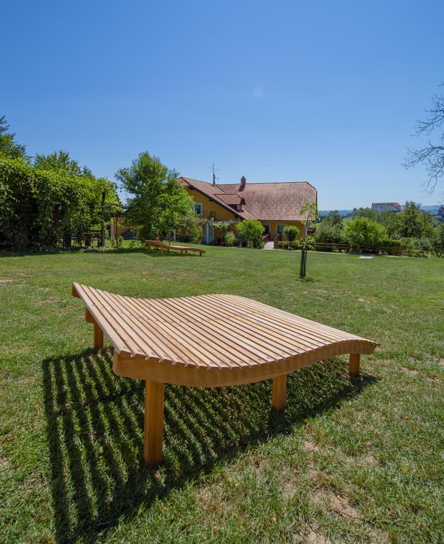 Panorama B&B Ptuj Dış mekan fotoğraf