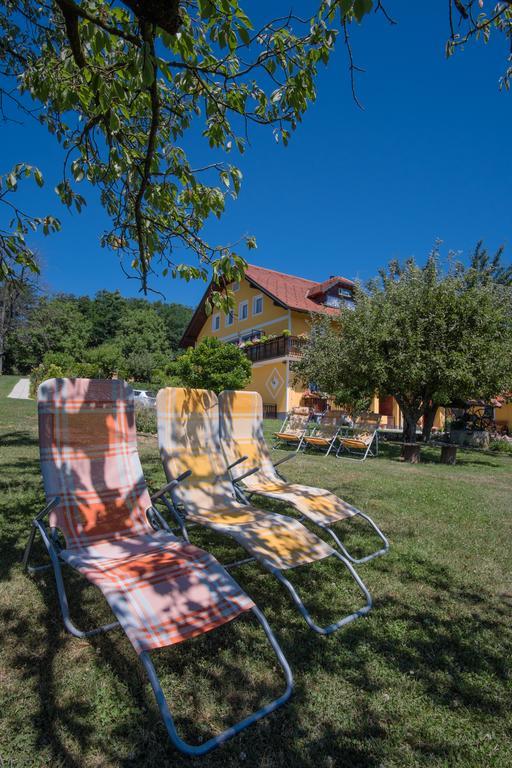Panorama B&B Ptuj Dış mekan fotoğraf