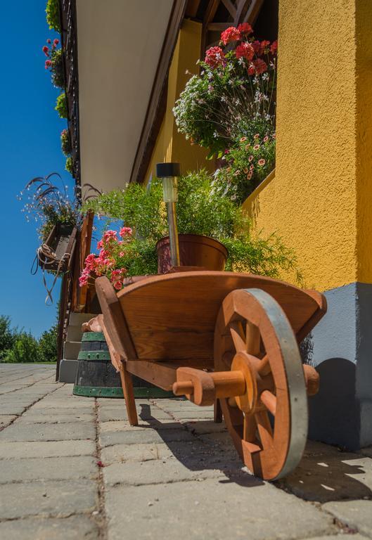 Panorama B&B Ptuj Dış mekan fotoğraf
