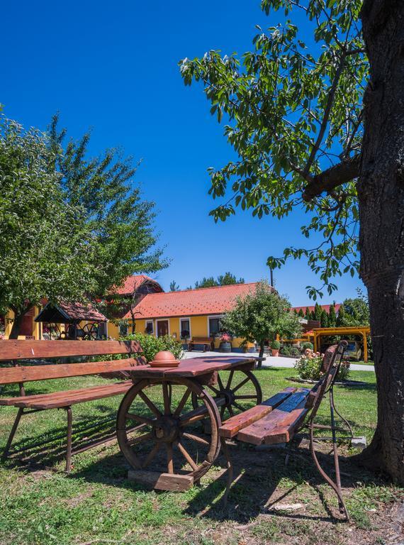 Panorama B&B Ptuj Dış mekan fotoğraf