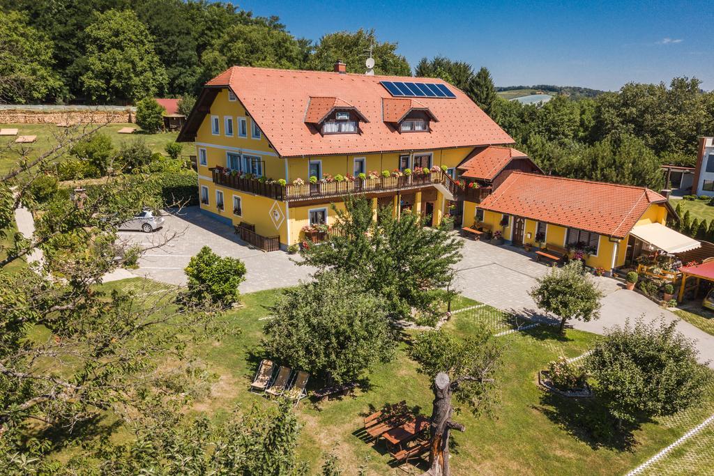 Panorama B&B Ptuj Dış mekan fotoğraf