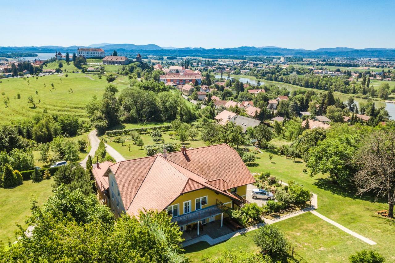 Panorama B&B Ptuj Dış mekan fotoğraf