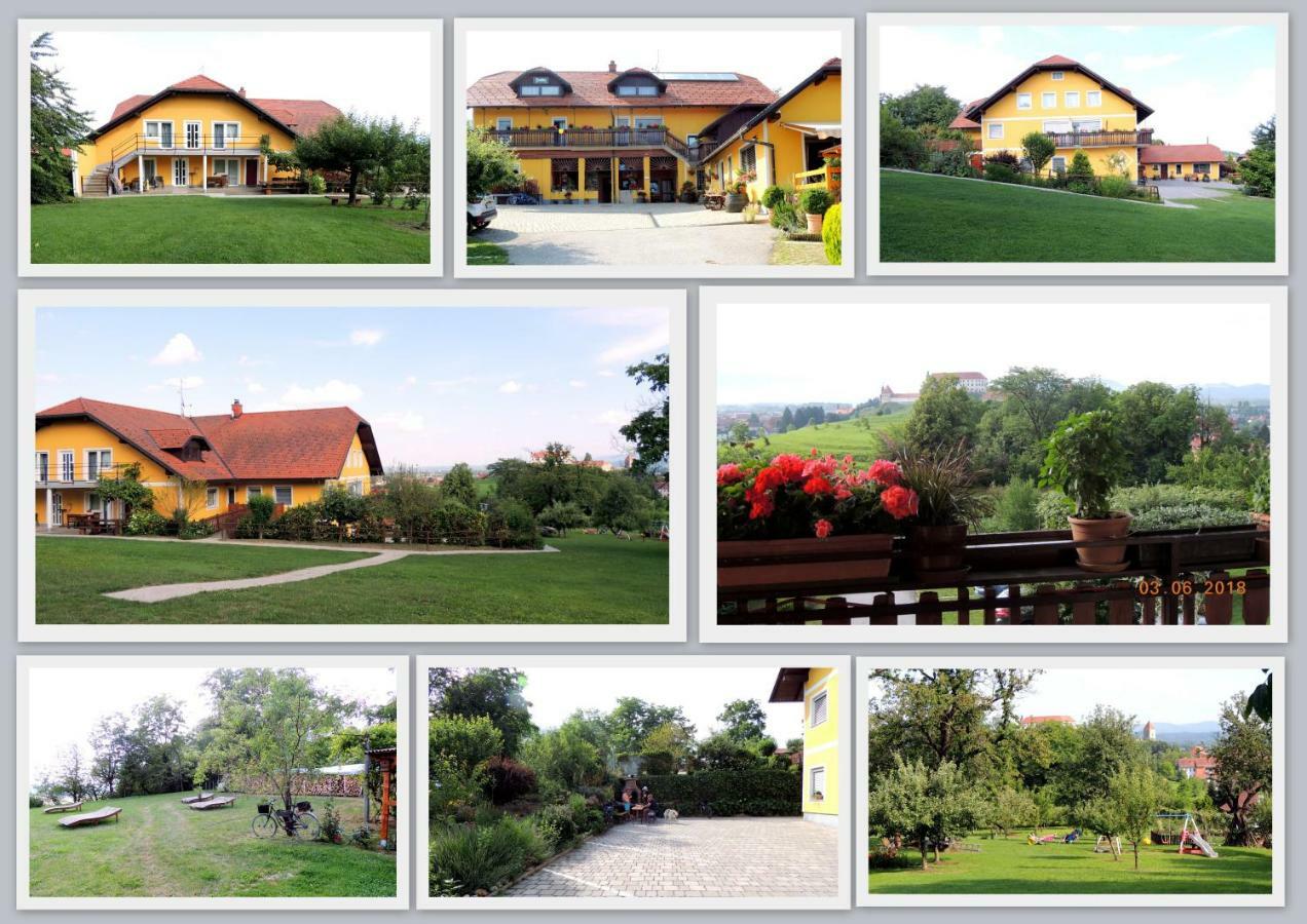 Panorama B&B Ptuj Dış mekan fotoğraf