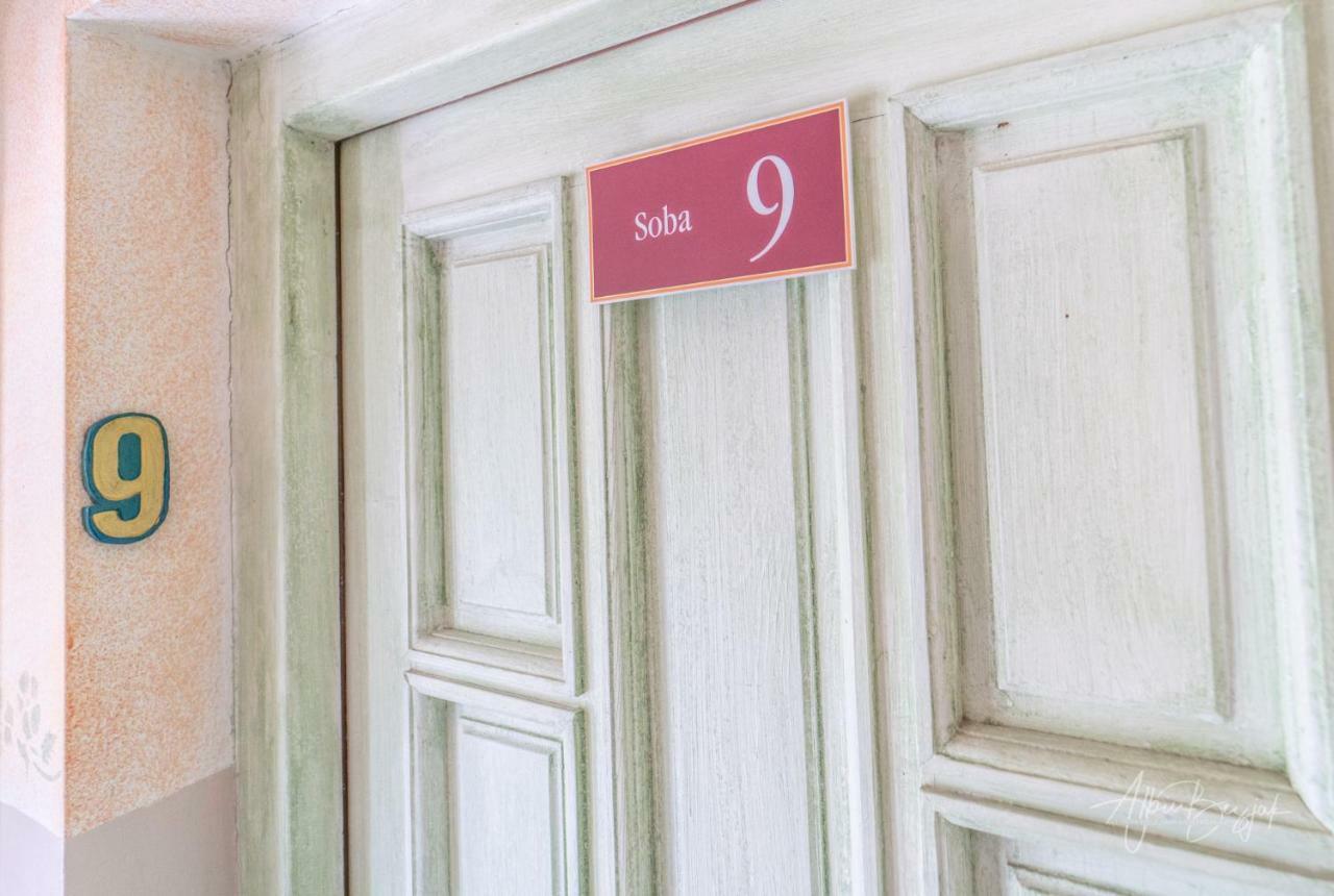 Panorama B&B Ptuj Dış mekan fotoğraf