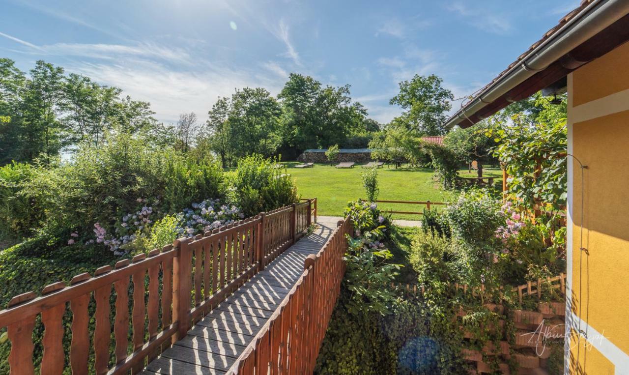Panorama B&B Ptuj Dış mekan fotoğraf